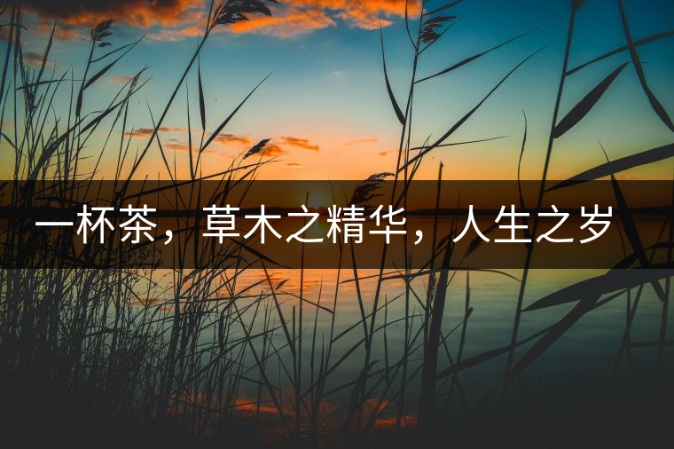 一杯茶，草木之精華，人生之歲月
