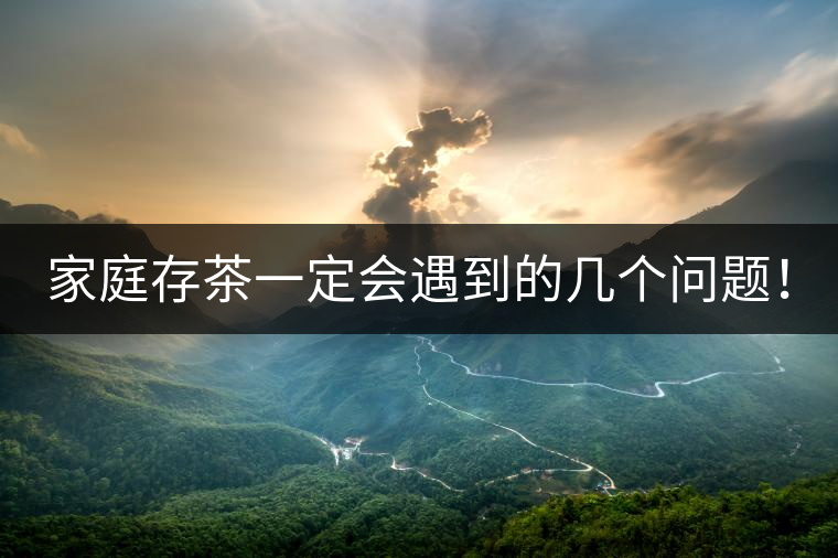 家庭存茶一定會(huì)遇到的幾個(gè)問題！