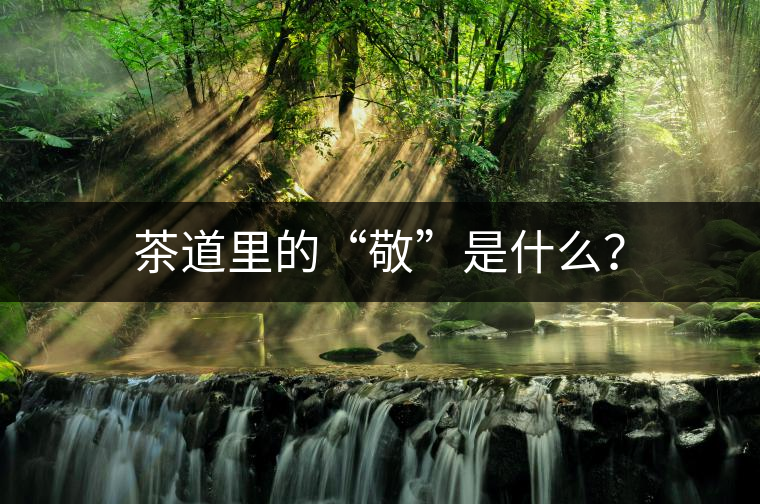 茶道里的“敬”是什么？