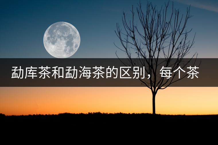 勐庫茶和勐海茶的區(qū)別，每個茶友都該了解的選茶常識！