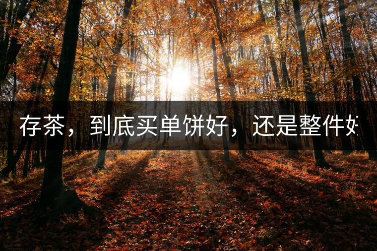 存茶，到底買(mǎi)單餅好，還是整件好？