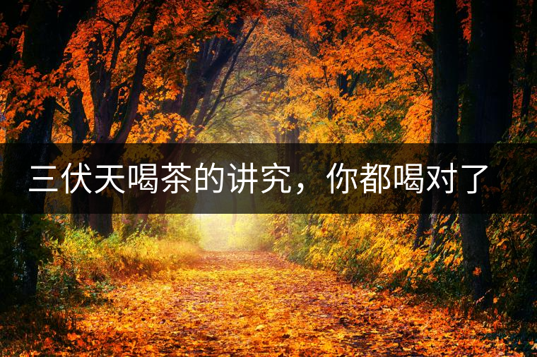 三伏天喝茶的講究，你都喝對了嗎？