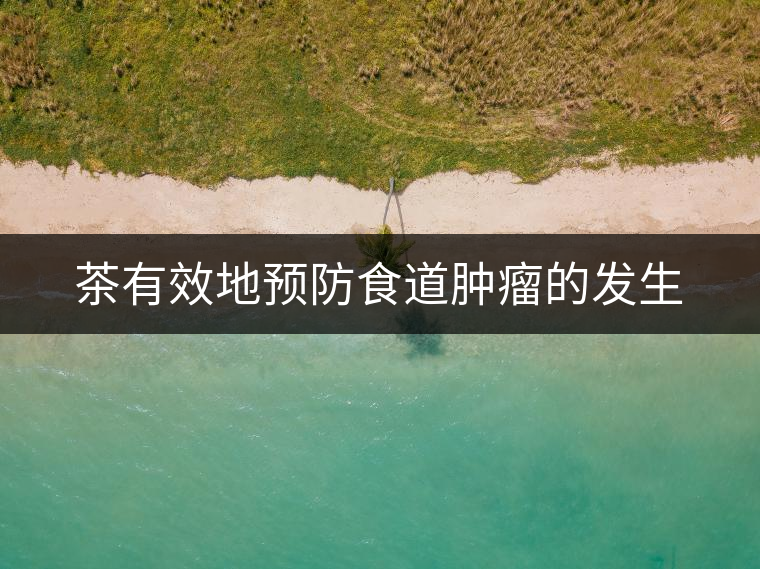 茶有效地預(yù)防食道腫瘤的發(fā)生