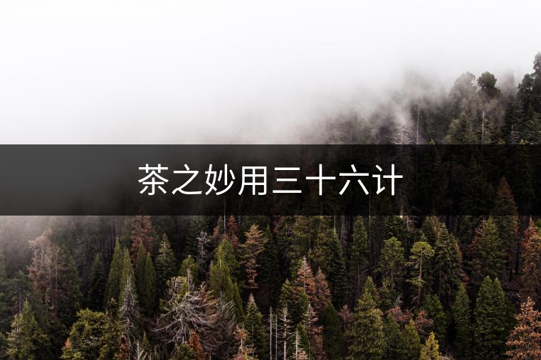 茶之妙用三十六計 茶之妙用三十六計