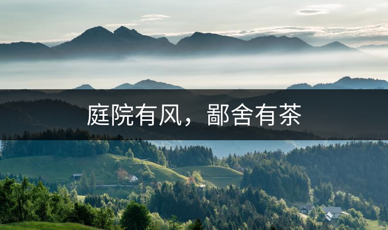 庭院有風，鄙舍有茶