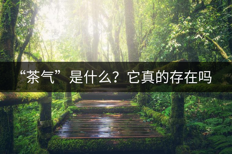 “茶氣”是什么？它真的存在嗎？