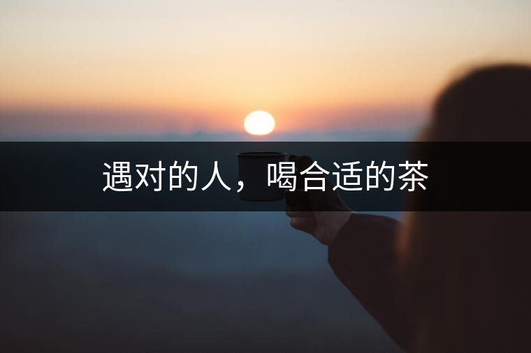 遇對的人，喝合適的茶
