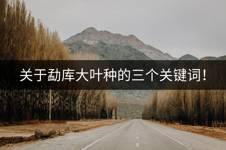 關(guān)于勐庫(kù)大葉種的三個(gè)關(guān)鍵詞！