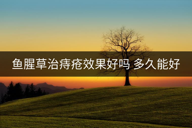 魚腥草治痔瘡效果好嗎 多久能好 魚腥草治痔瘡效果好嗎 多久能好