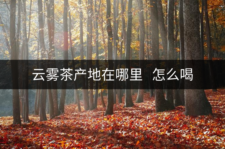 云霧茶產(chǎn)地在哪里 怎么喝 云霧茶產(chǎn)地在哪里 怎么喝