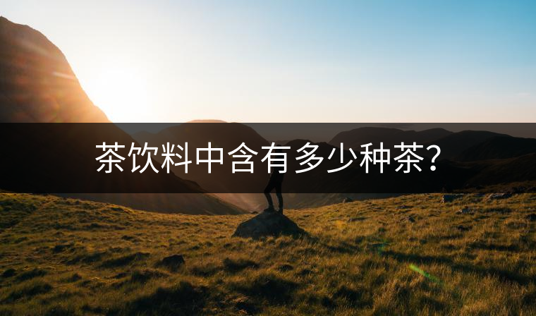 茶飲料中含有多少種茶？