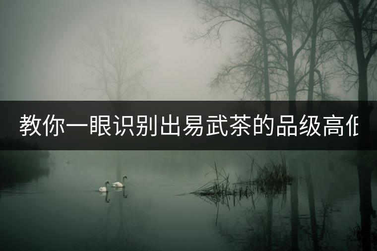 教你一眼識別出易武茶的品級高低！