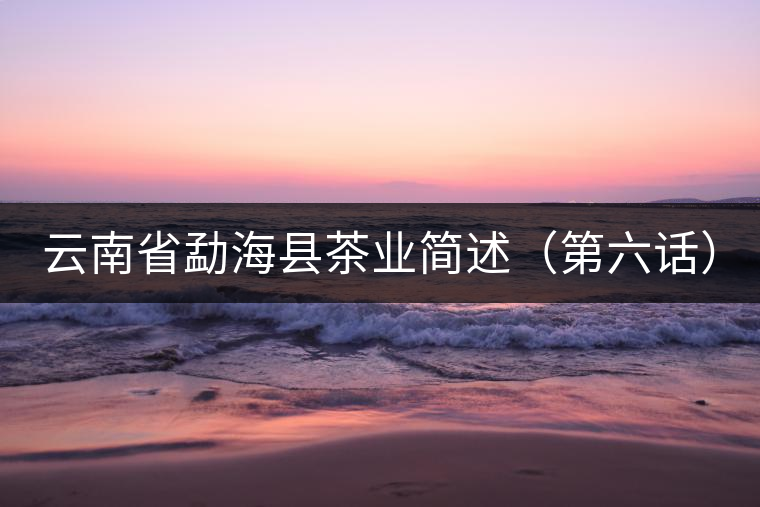 云南省勐海縣茶業(yè)簡(jiǎn)述（第六話）