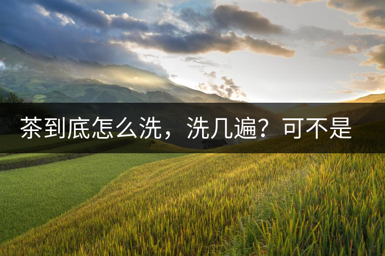 茶到底怎么洗，洗幾遍？可不是倒水進(jìn)去這么簡(jiǎn)單喲
