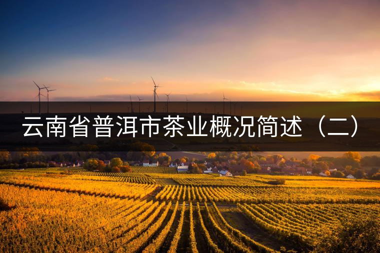 云南省普洱市茶業(yè)概況簡述(二) 云南省普洱市茶業(yè)概況簡述(二)