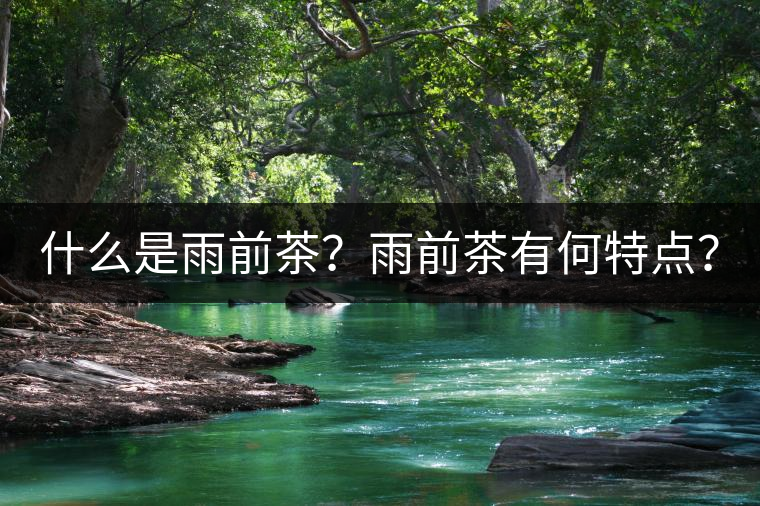 什么是雨前茶？雨前茶有何特點？