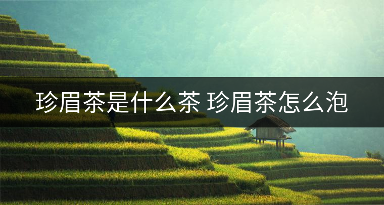 珍眉茶是什么茶 珍眉茶怎么泡