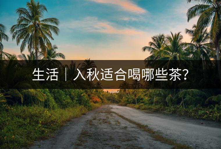 生活｜入秋適合喝哪些茶？