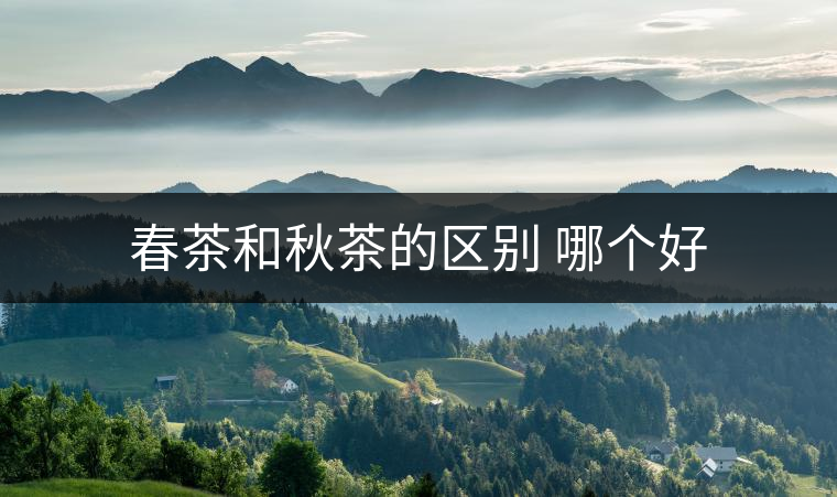春茶和秋茶的區(qū)別 哪個(gè)好