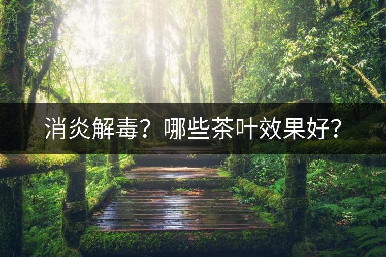 消炎解毒？哪些茶葉效果好？