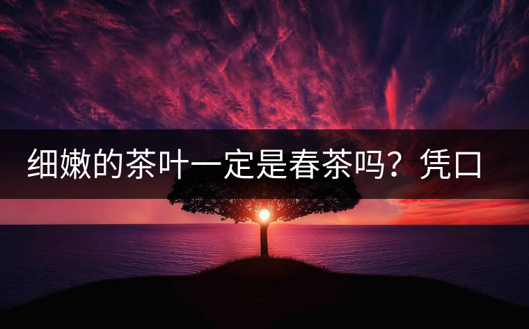 細(xì)嫩的茶葉一定是春茶嗎？憑口感鑒別春茶的方法