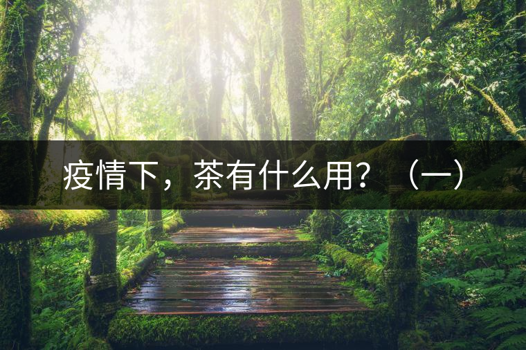 疫情下，茶有什么用？（一）