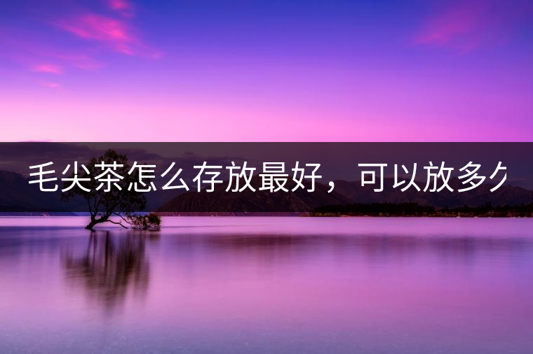 毛尖茶怎么存放最好，可以放多久？