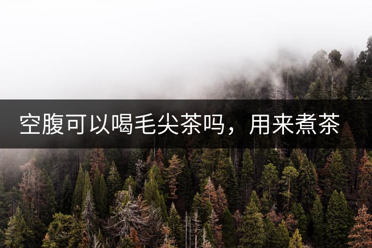 空腹可以喝毛尖茶嗎，用來煮茶葉蛋怎么樣？