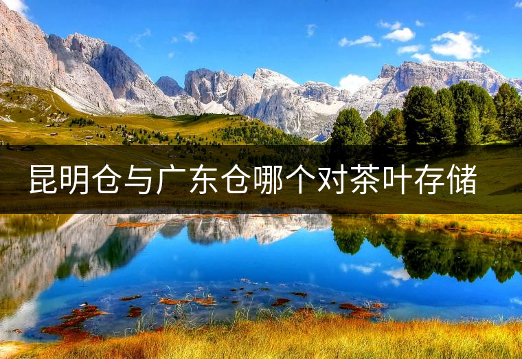 昆明倉與廣東倉哪個(gè)對茶葉存儲更具優(yōu)勢？