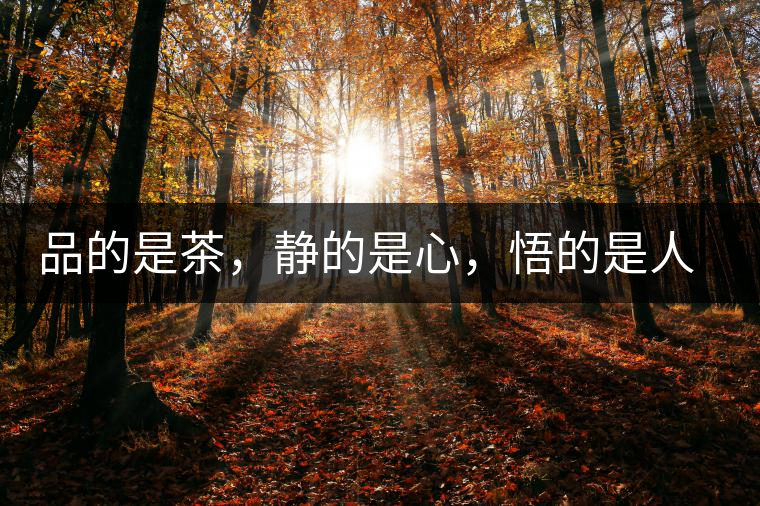 品的是茶，靜的是心，悟的是人生，滌的是靈魂