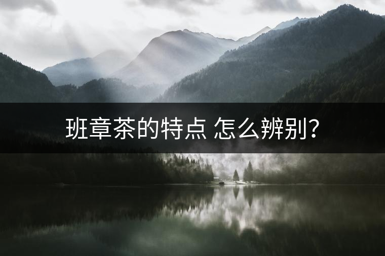 班章茶的特點(diǎn) 怎么辨別？