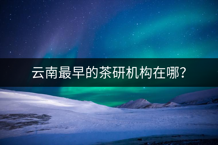 云南最早的茶研機構在哪？