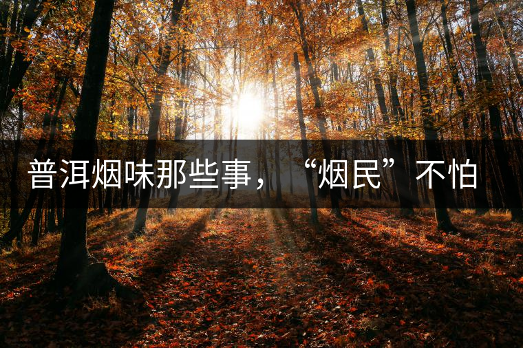 普洱煙味那些事，“煙民”不怕當