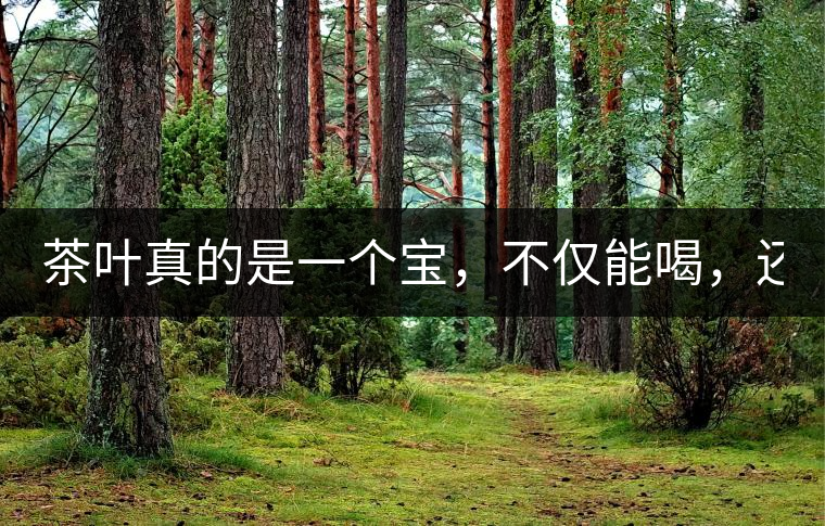 茶葉真的是一個寶，不僅能喝，還能用！