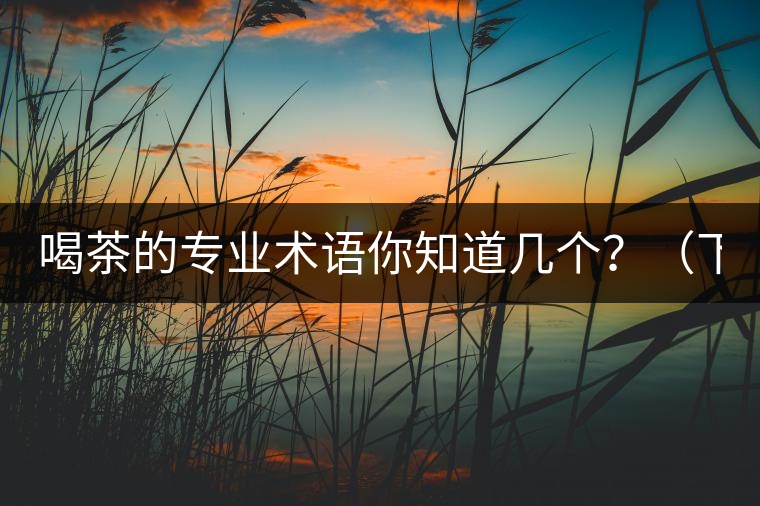 喝茶的專業(yè)術(shù)語(yǔ)你知道幾個(gè)？（下篇）