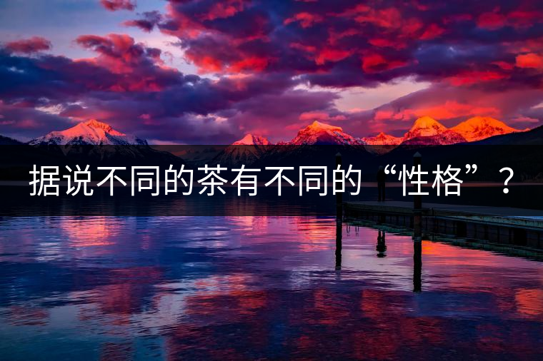 據(jù)說不同的茶有不同的“性格”？