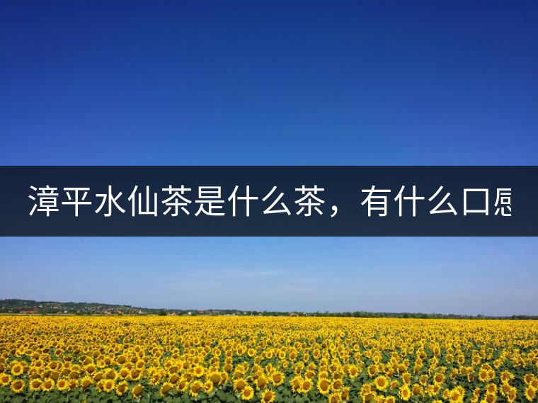 漳平水仙茶是什么茶，有什么口感特點(diǎn)！