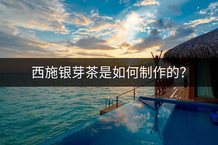 西施銀芽茶是如何制作的？