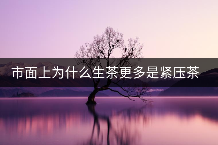 市面上為什么生茶更多是緊壓茶而非散茶？