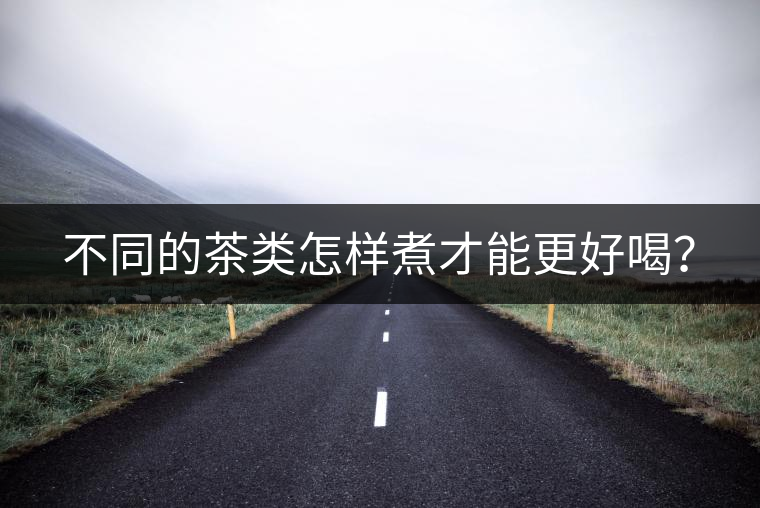 不同的茶類怎樣煮才能更好喝？