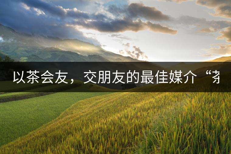 以茶會友，交朋友的最佳媒介“茶”！