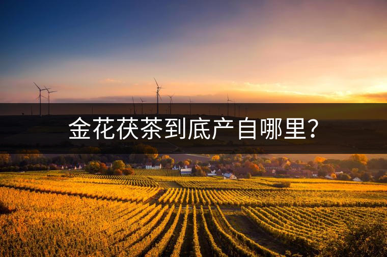 金花茯茶到底產(chǎn)自哪里？
