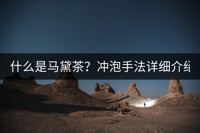 什么是馬黛茶？沖泡手法詳細(xì)介紹！