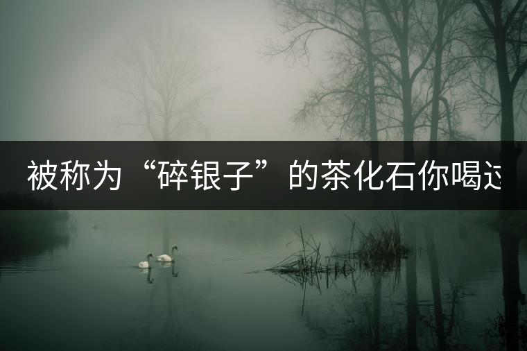 被稱為“碎銀子”的茶化石你喝過嗎？