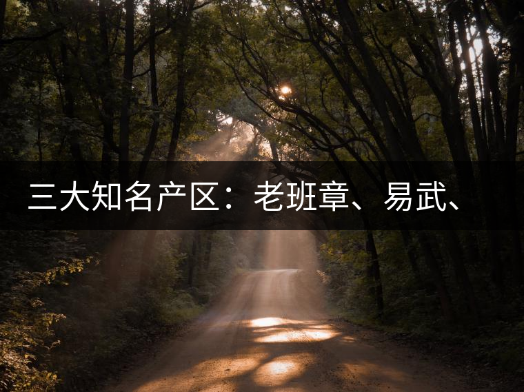三大知名產(chǎn)區(qū)：老班章、易武、景邁三大茶系都有哪些特點(diǎn)！
