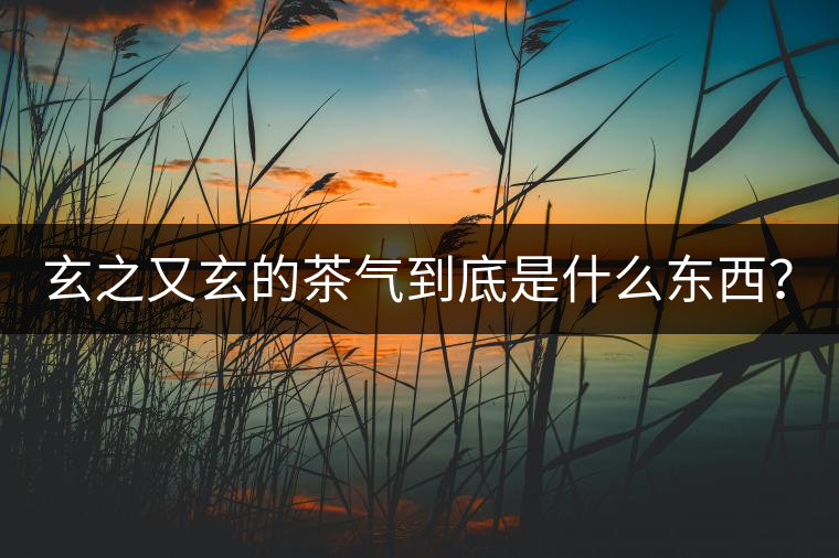 玄之又玄的茶氣到底是什么東西？