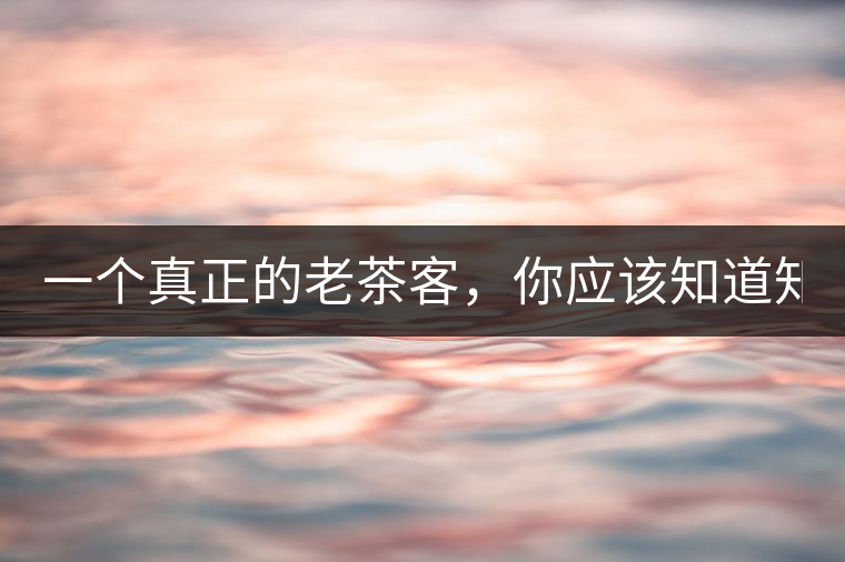 一個真正的老茶客，你應(yīng)該知道知識點！