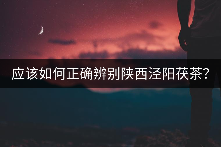 應該如何正確辨別陜西涇陽茯茶？