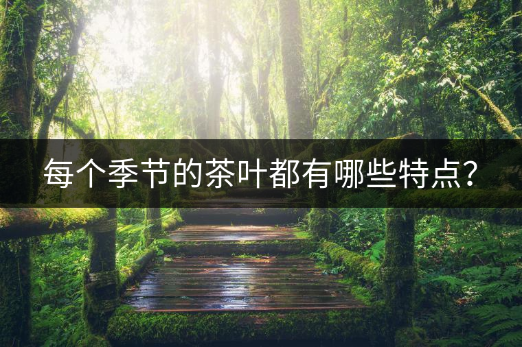 每個(gè)季節(jié)的茶葉都有哪些特點(diǎn)？