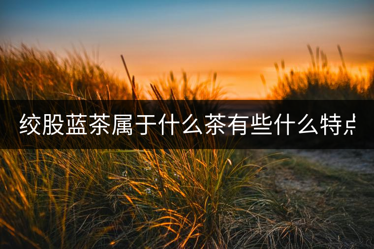 絞股藍(lán)茶屬于什么茶有些什么特點(diǎn)？